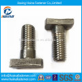 Stainless Steel ss316 T Bolt